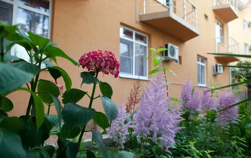 Частный дом «Мали» — фото 3