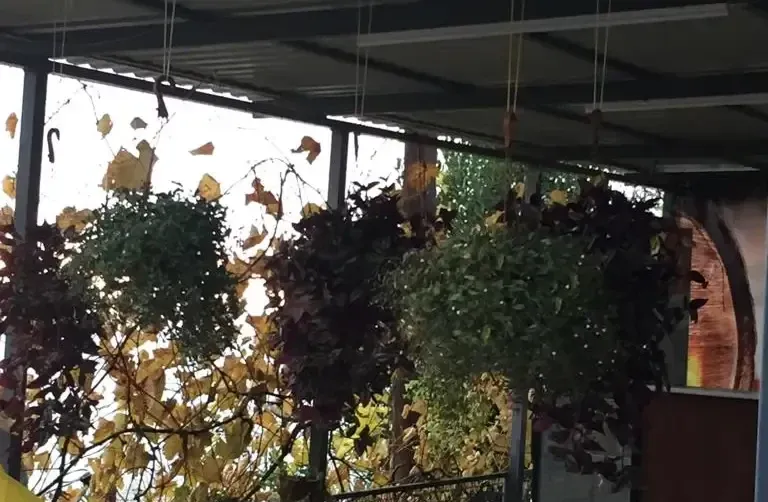 Частный дом «Аракс» — фото 3