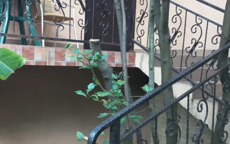 Частный дом «Летняя»