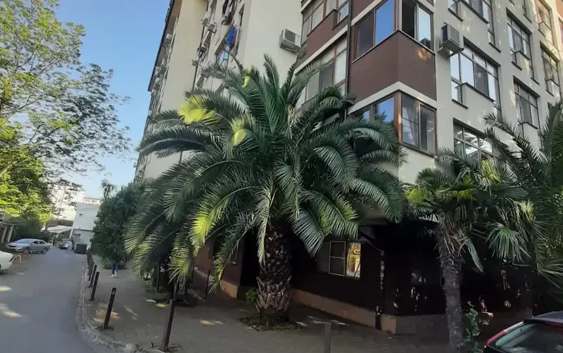 Студия у моря в Сириусе — фото 2