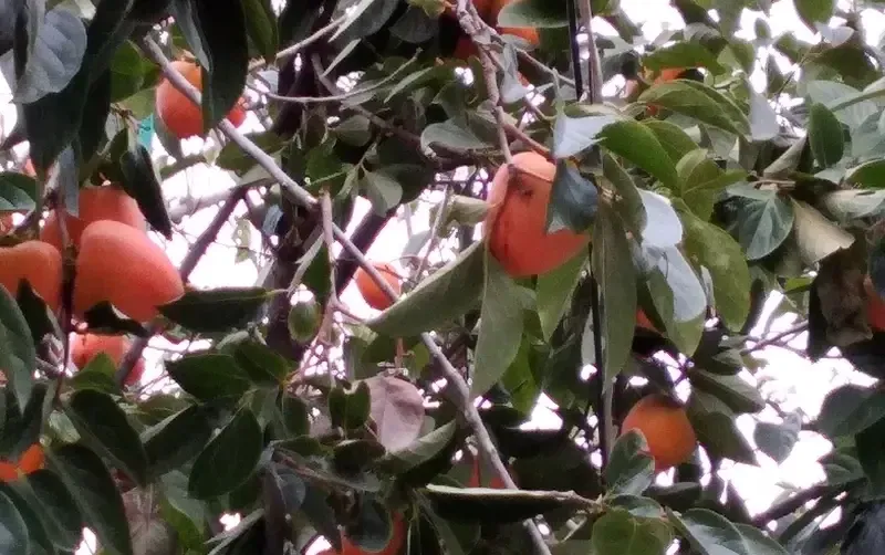 Комнаты на Прибойной 8 — фото 5