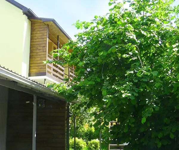 Номера с личными кухнями, домик «под ключ»