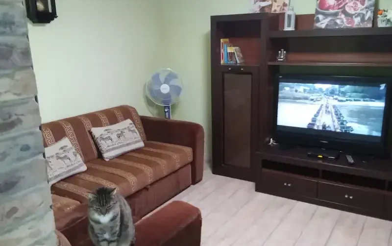 Дом «Светлана» — фото 5
