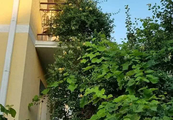 Частный дом на Радужной — фото 5