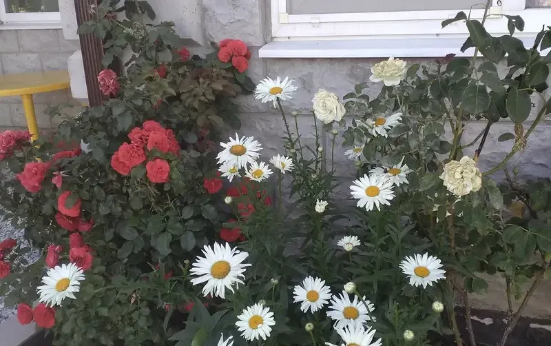 Частный дом «Отдых» — фото 4