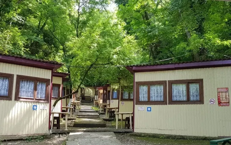Кемпинг «Море сосен» — фото 2