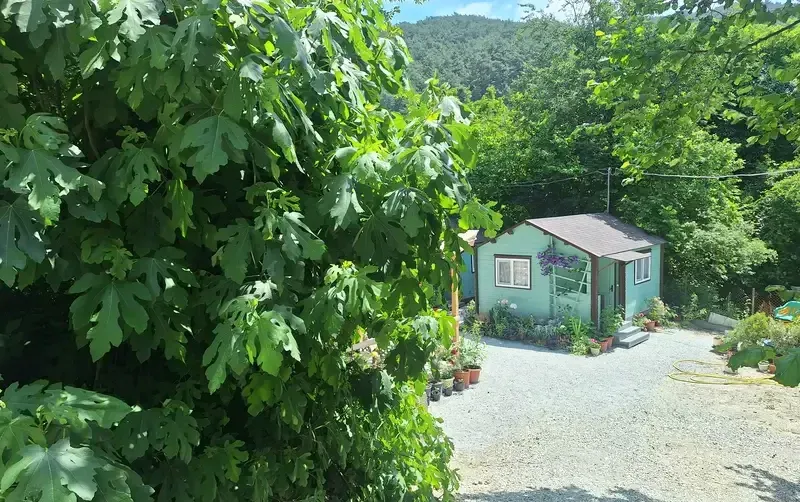 Деревянные летние домики