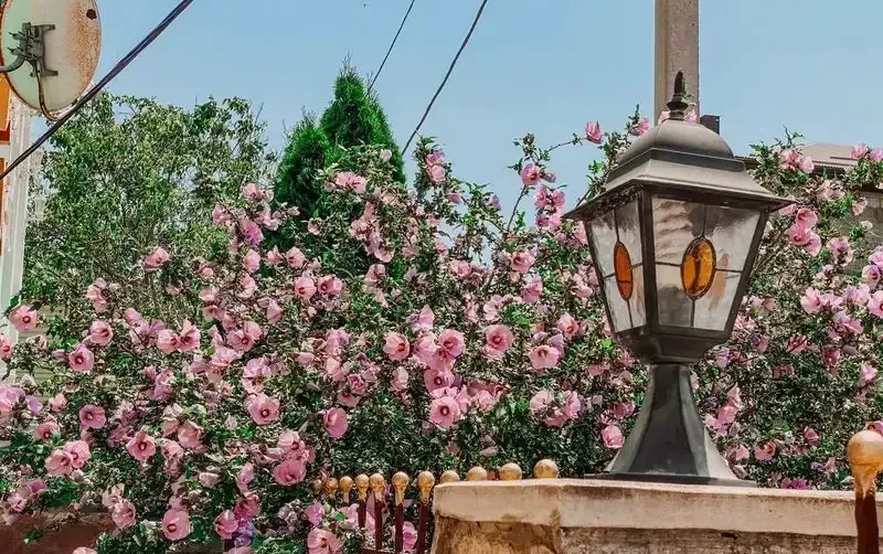 Гостевой дом «Винтаж» — фото 4