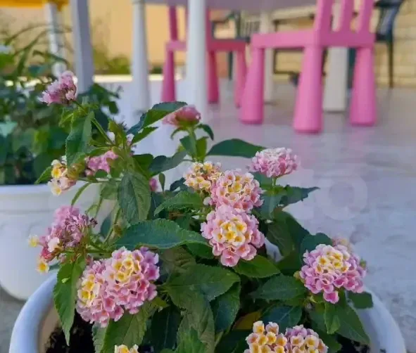 Дом на Южной — фото 5