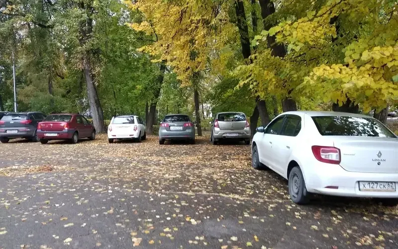 Загородный клуб «Лес» — фото 2