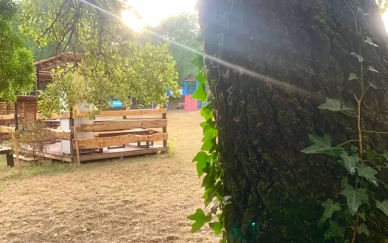Домики на берегу пруда — фото 4