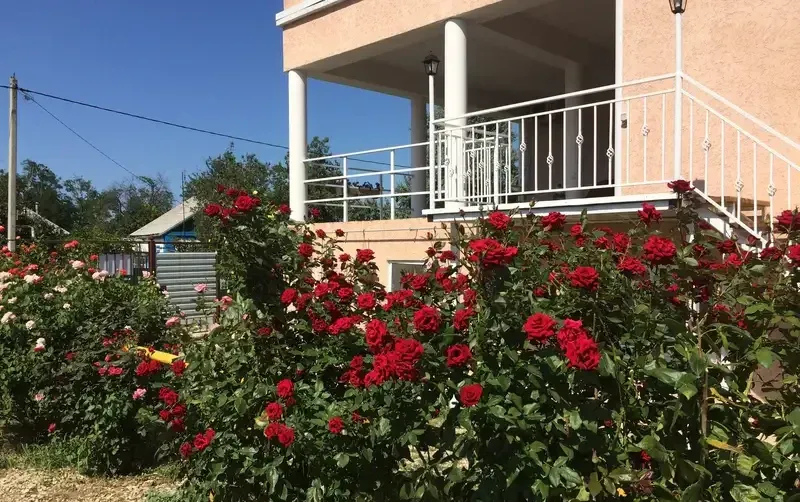 Частный дом «Цветок Граната» — фото 2