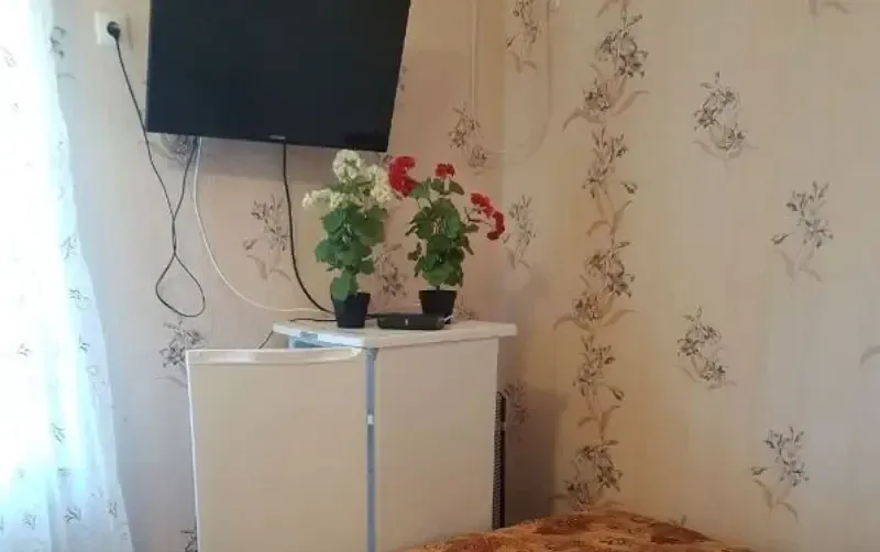 Частный дом «Ирина» — фото 3
