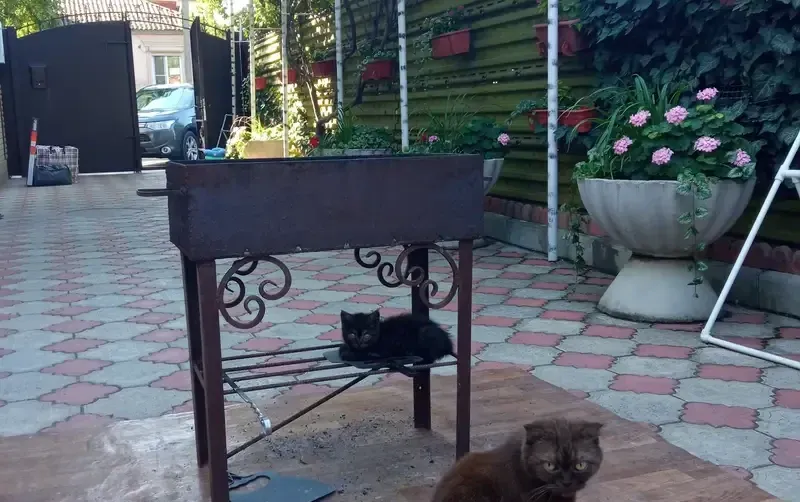 Дом под ключ в Ейске — фото 3