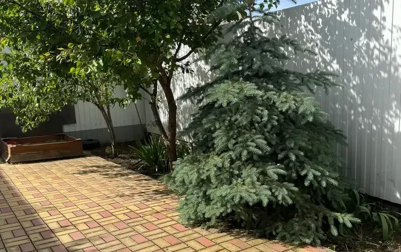 Дом под ключ на Романа — фото 5