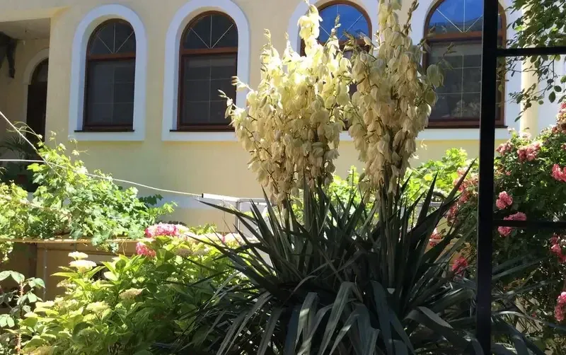 Усадьба «Антураж» — фото 5