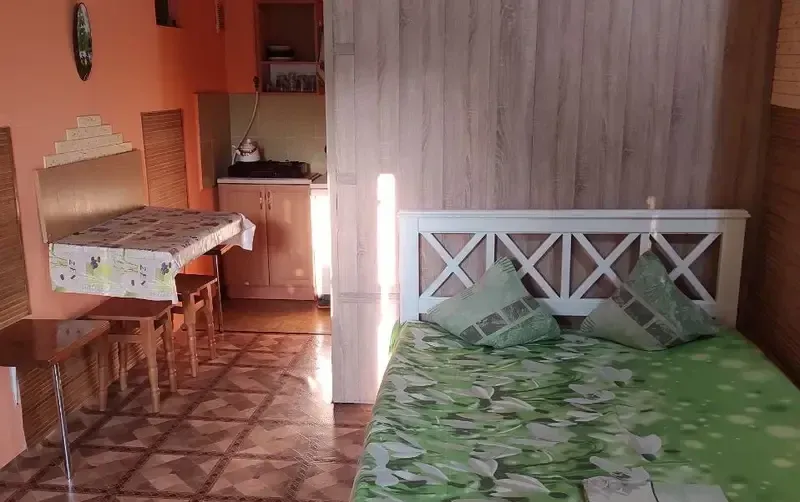Однокомнатный номер на ул. Красноармейская — фото 2