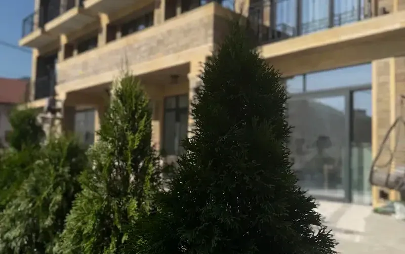 Гостевой дом «Sofitel» — фото 4