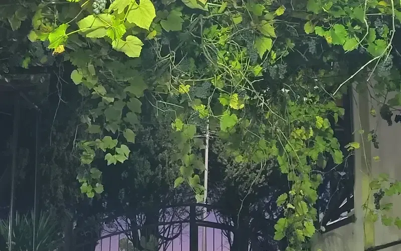 Гостевой дом «Уют» — фото 2
