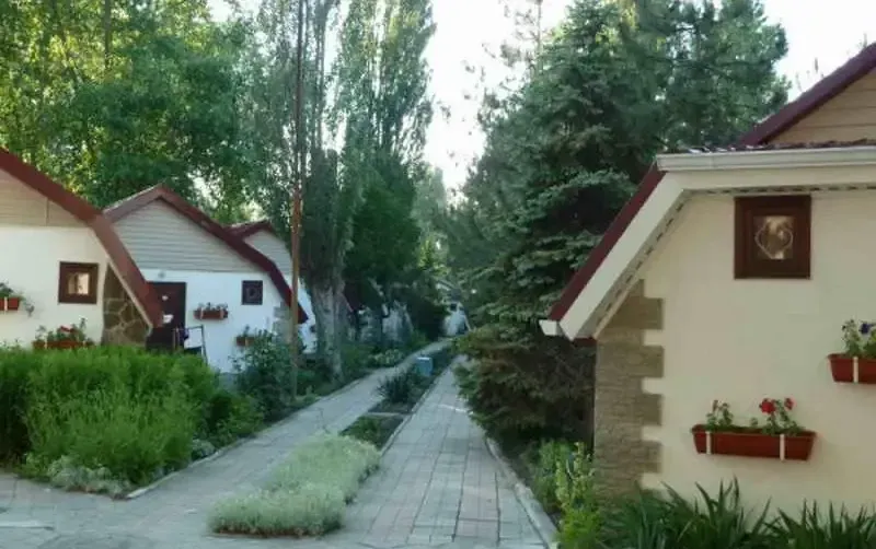 База отдыха «Динамо 2» — фото 4