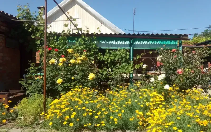 Дом под ключ на Павлова — фото 2