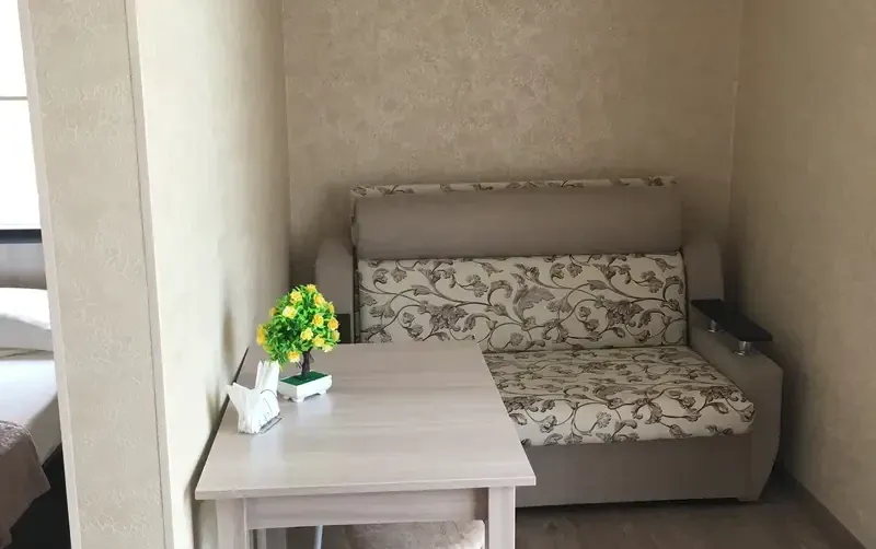 Студия в Олимпийском парке — фото 4
