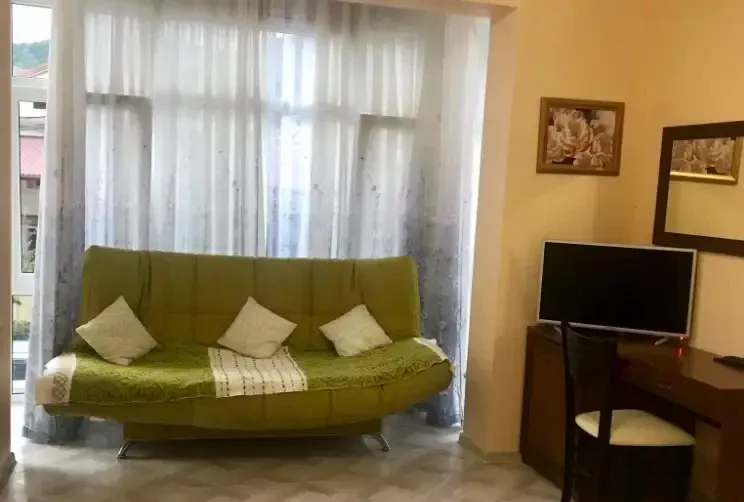 Студия возле Сочи-Парка — фото 3