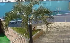 Отель "ЭДЭРАН"