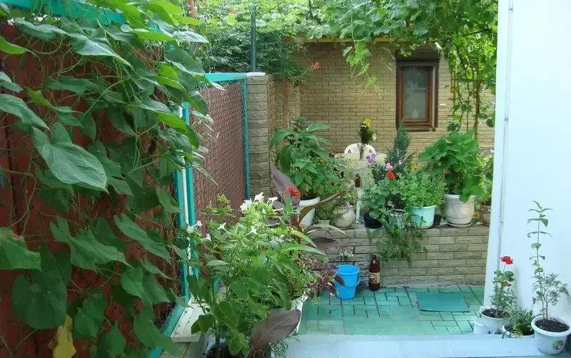 Гостевой дом "Елена" — фото 4