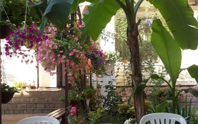 Гостевой дом «Мария» — фото 5