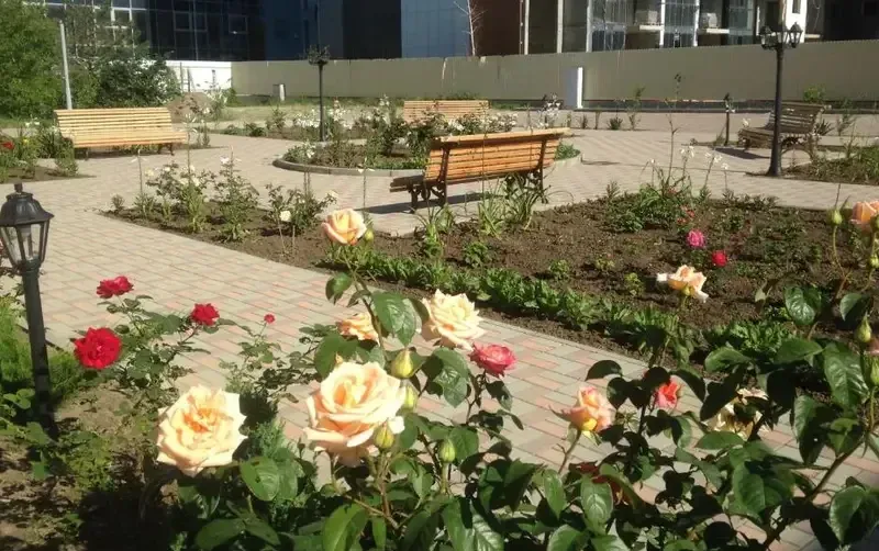 Отель «Золотой берег» — фото 2