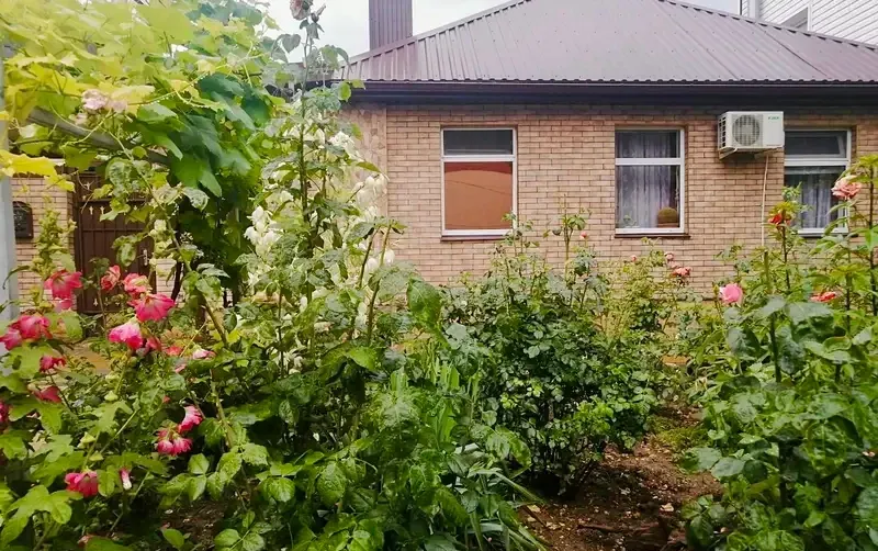 Частное домовладение «Dog Friendly»