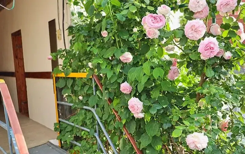 Частное домовладение на Протапова — фото 4