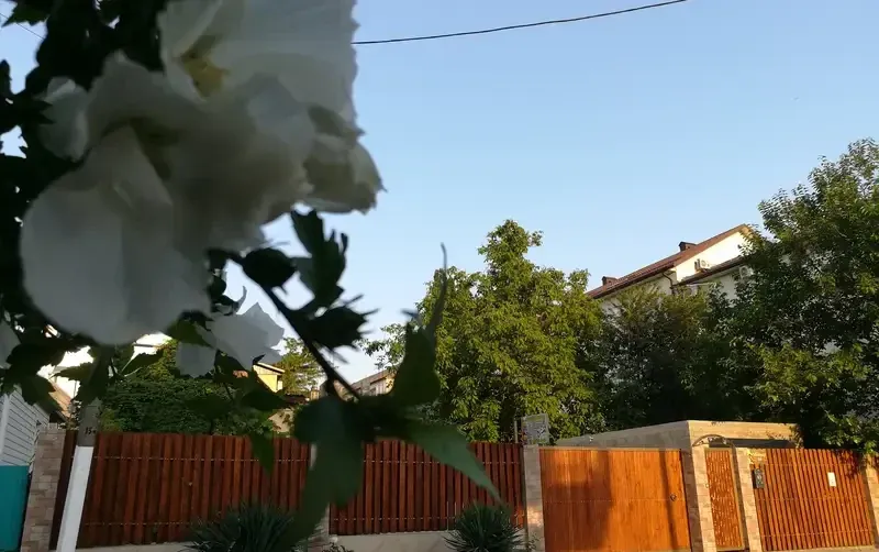 Гостевой дом на Советской — фото 2