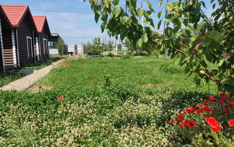 База отдыха «Кедровая усадьба» — фото 3