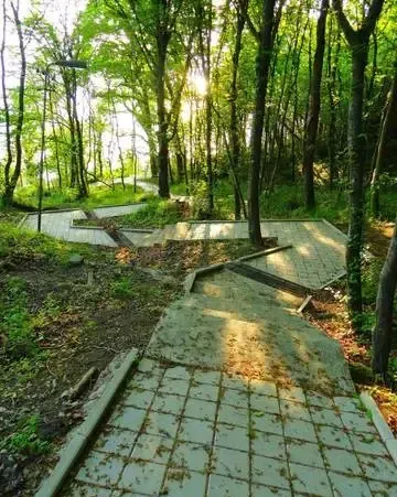 База отдыха «Лесная дача» — фото 4