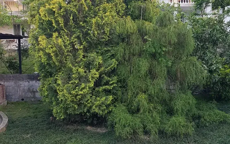 Дом под ключ «Светлана» — фото 3