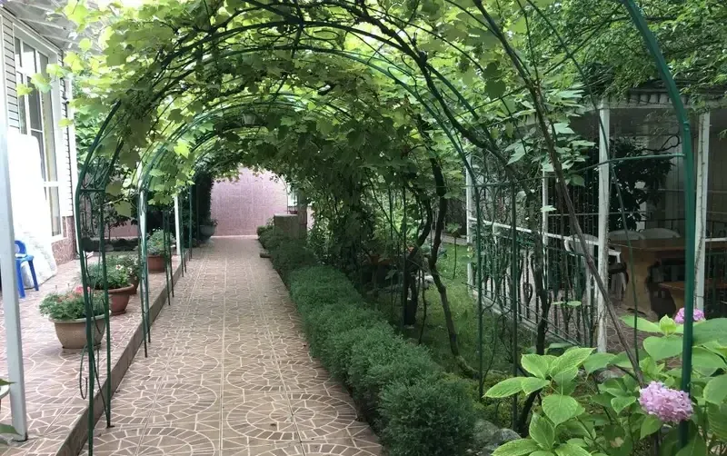 Гостиница «Солнце» — фото 3