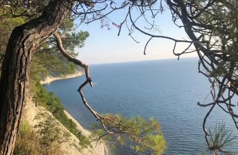 Частный сектор «Гала» — фото 4