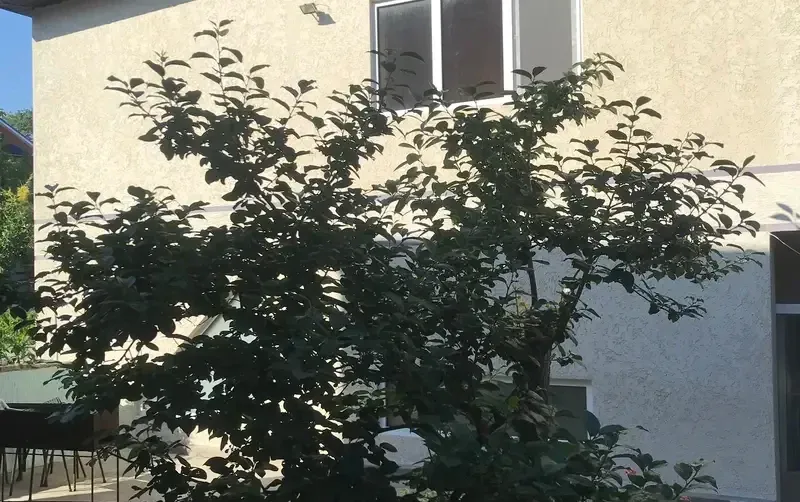 Гостевой дом на Черноморской — фото 2