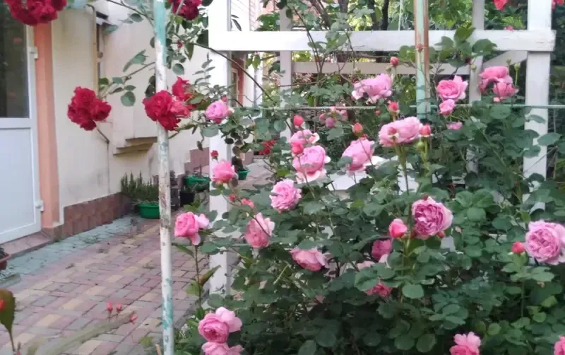 Комната в коттедже «Радость Юга» — фото 4
