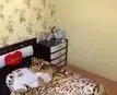 Коттеджи на Гоголя — фото 5