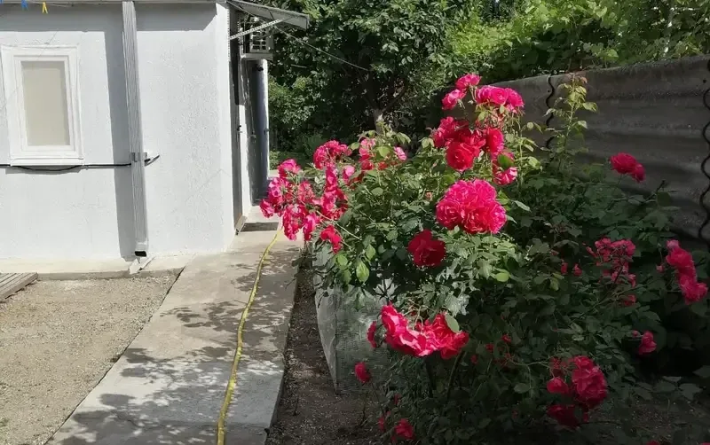 Дом под ключ на Калинина