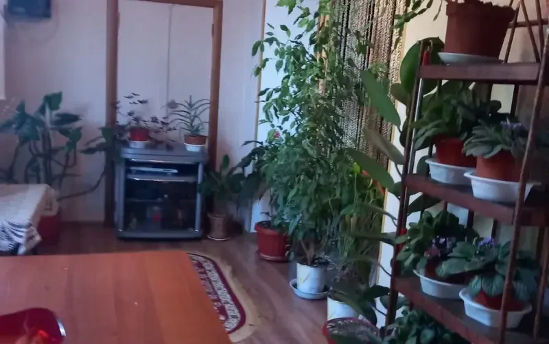 Евродвушка под ключ — фото 3