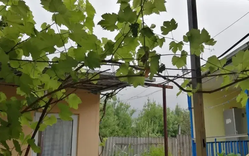 Дом на 6 гостей