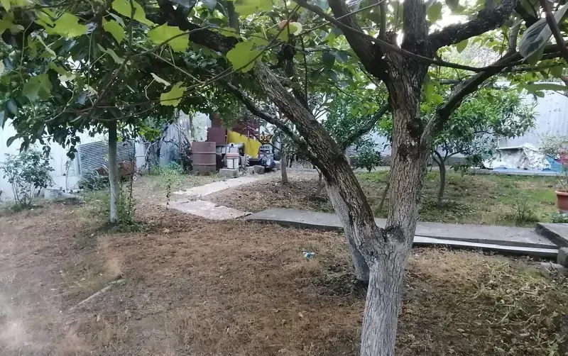 Дом на 6 гостей — фото 4