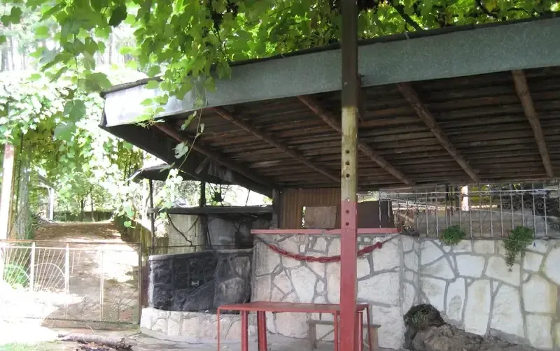 Частный дом на Сосновой — фото 4