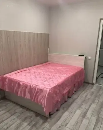 Однокомнатная квартира на Репина