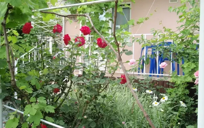 Гостевой дом "У Ларисы"