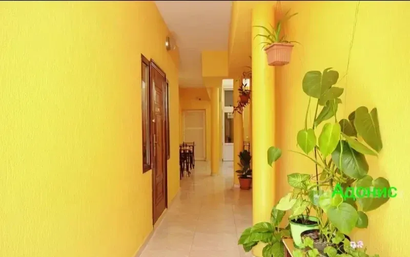 Guest house «Adonis» — фото 3